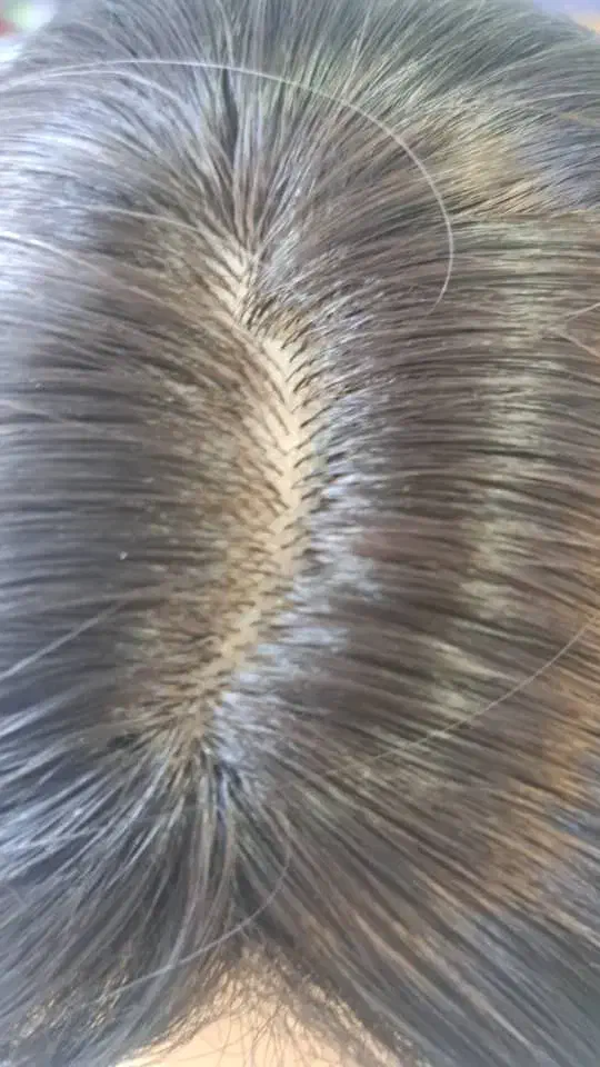 کلاگیس نو یه هفته هم نمیشه که خریداری کردم.|آرایشی، بهداشتی، درمانی|سیاهکل, |دیوار