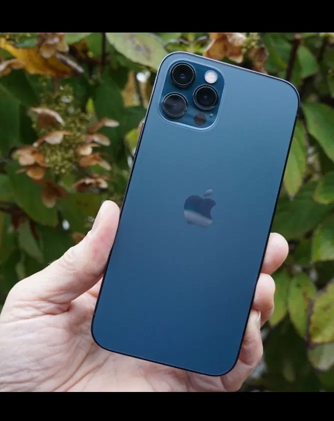 Iphone 12 pro 512G|موبایل|خلخال, |دیوار
