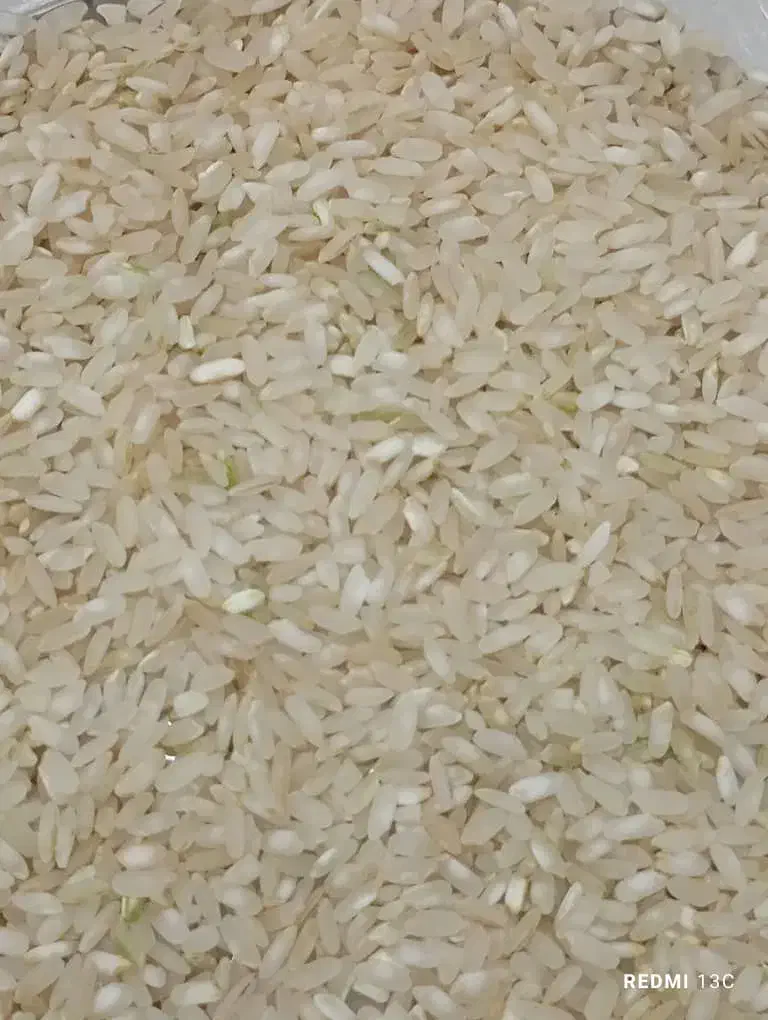 فروش برنج درجه یک کامفیروزی بشرط پخت قیمت 290|خوردنی و آشامیدنی|شاهینشهر, مسکن مهر|دیوار