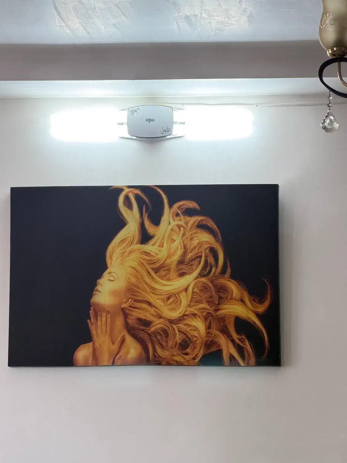 تابلو|تابلو، نقاشی، عکس|صفادشت, |دیوار