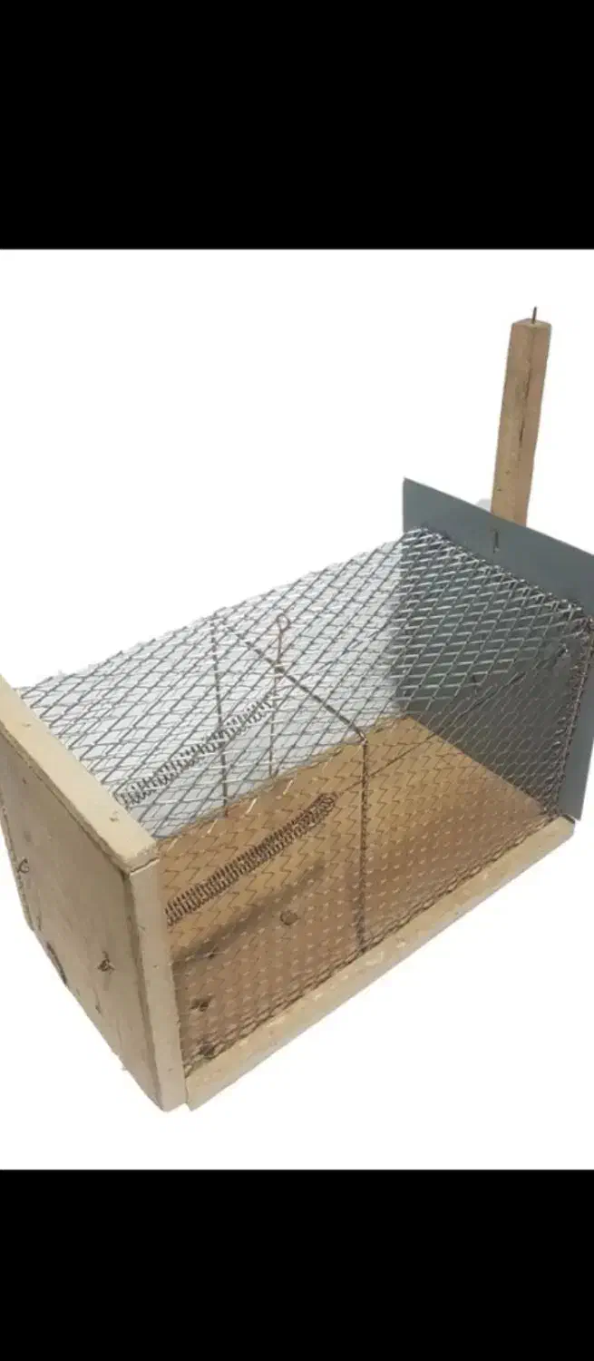 تله موش زنده گیر|لوازم جانبی حیوانات|سمنان, |دیوار