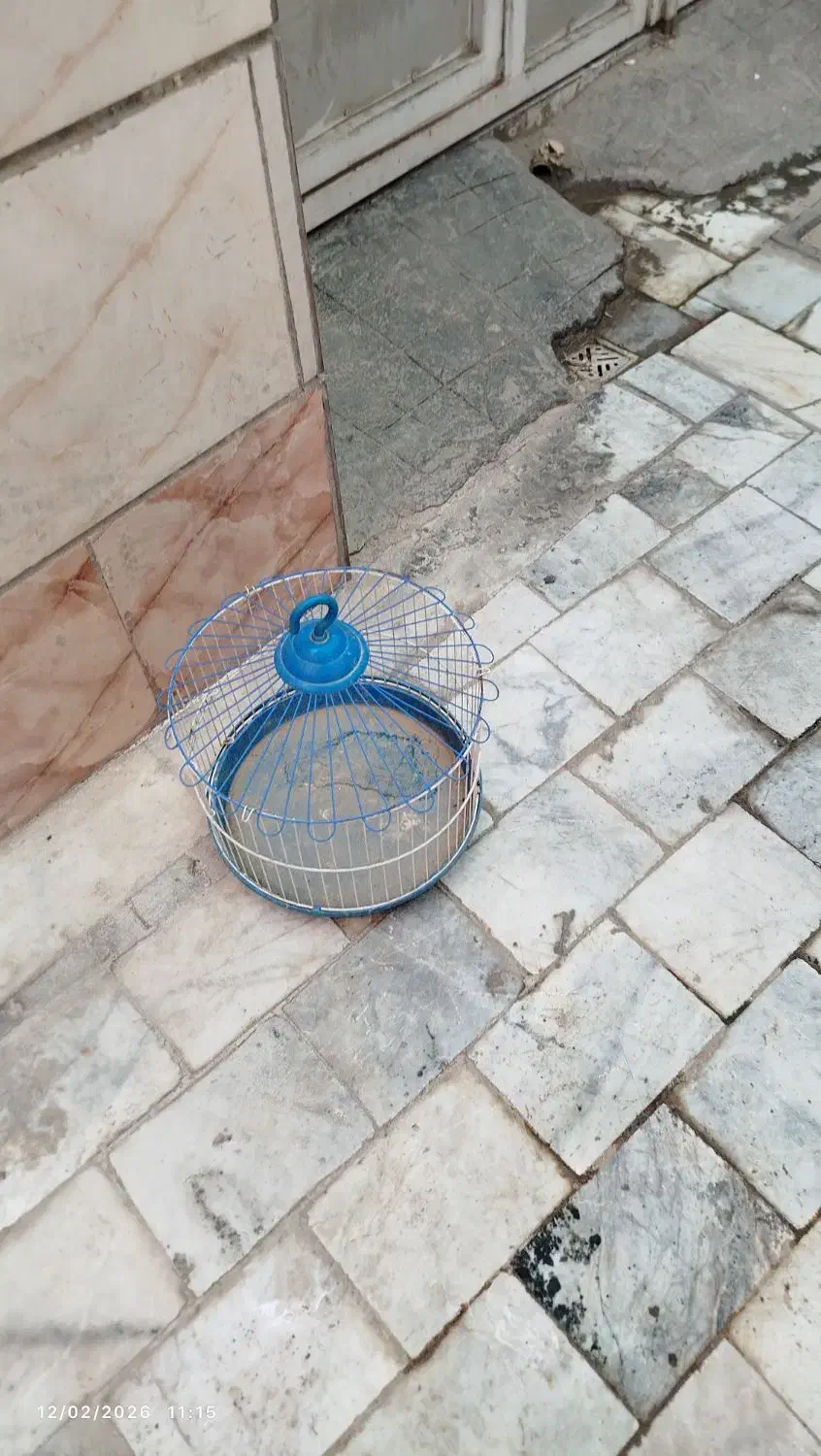 قفس|لوازم جانبی حیوانات|بیرجند, |دیوار