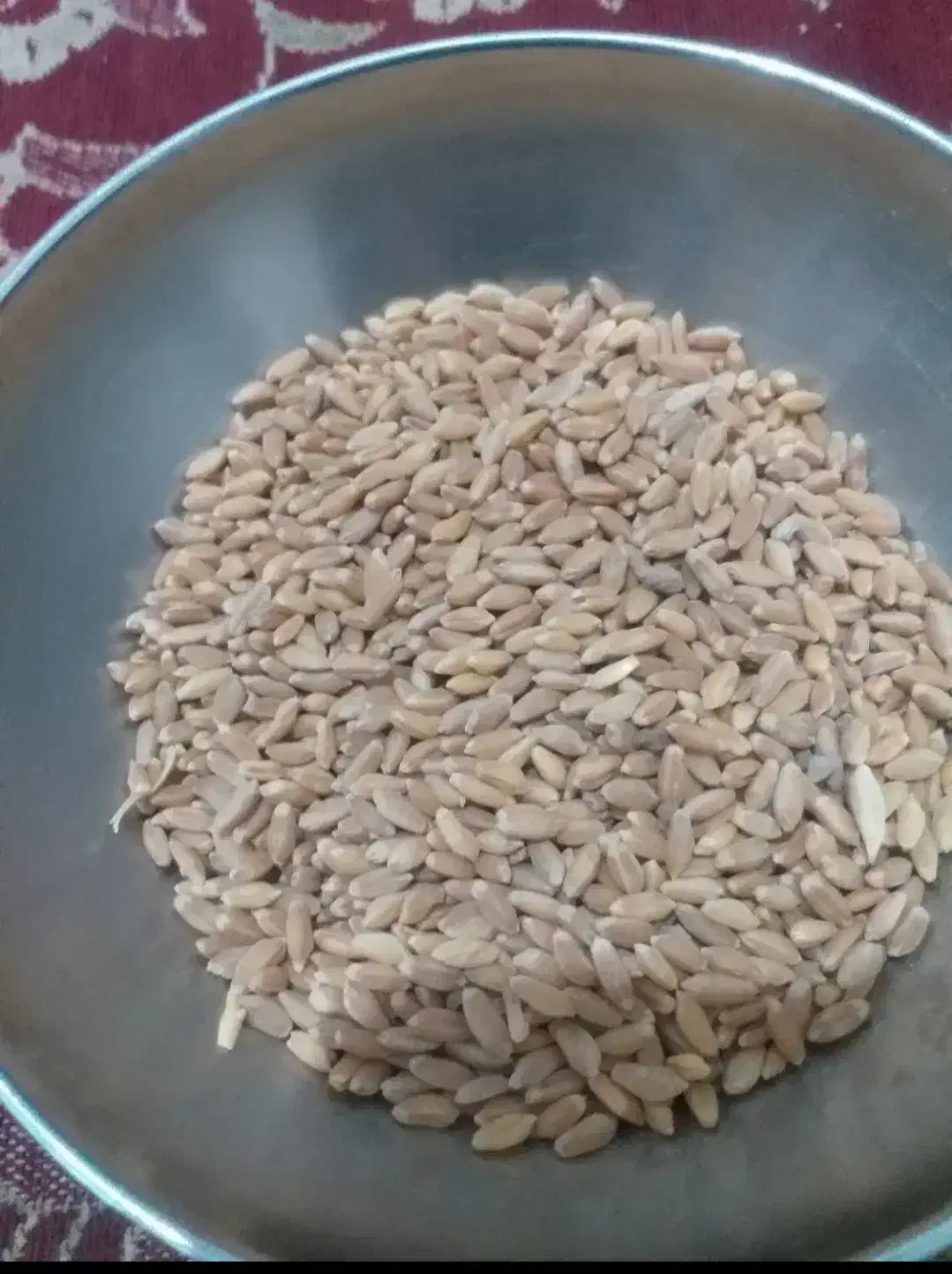 گندم دیم|لوازم جانبی حیوانات|خرم‌آباد, |دیوار