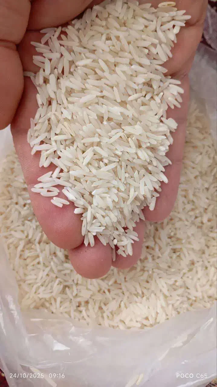 برنج طارم فجر|خوردنی و آشامیدنی|شهرکرد, |دیوار