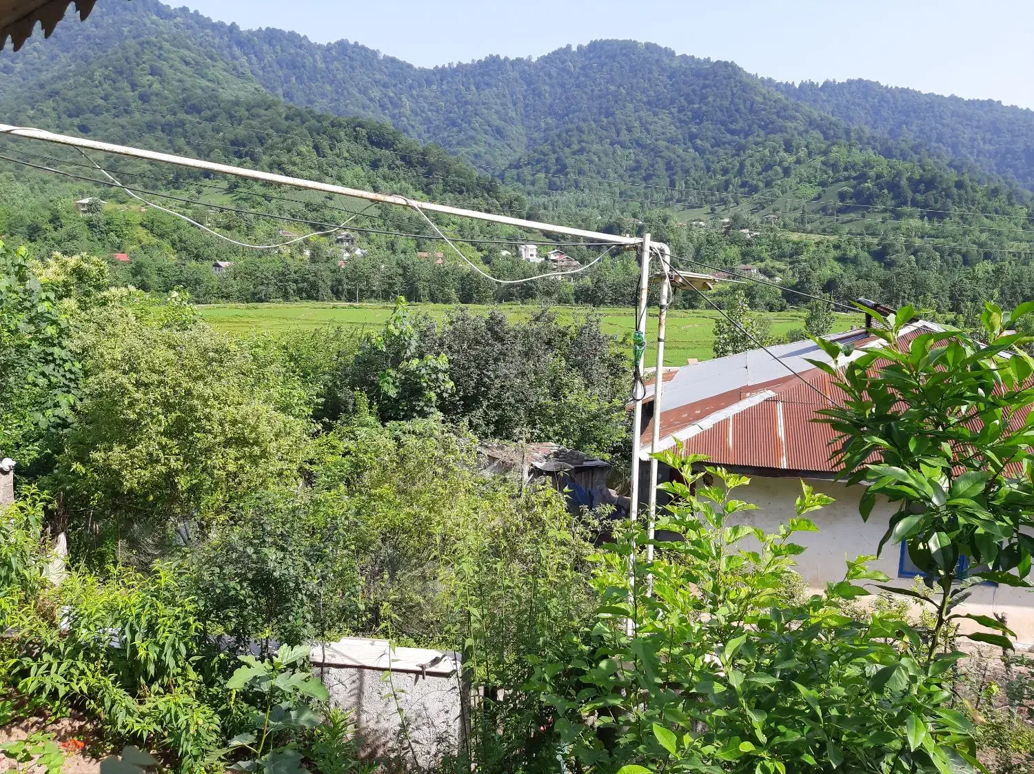 ویلاجنگلی|اجارهٔ کوتاه‌مدت ویلا و باغ|رشت, پسیخان|دیوار