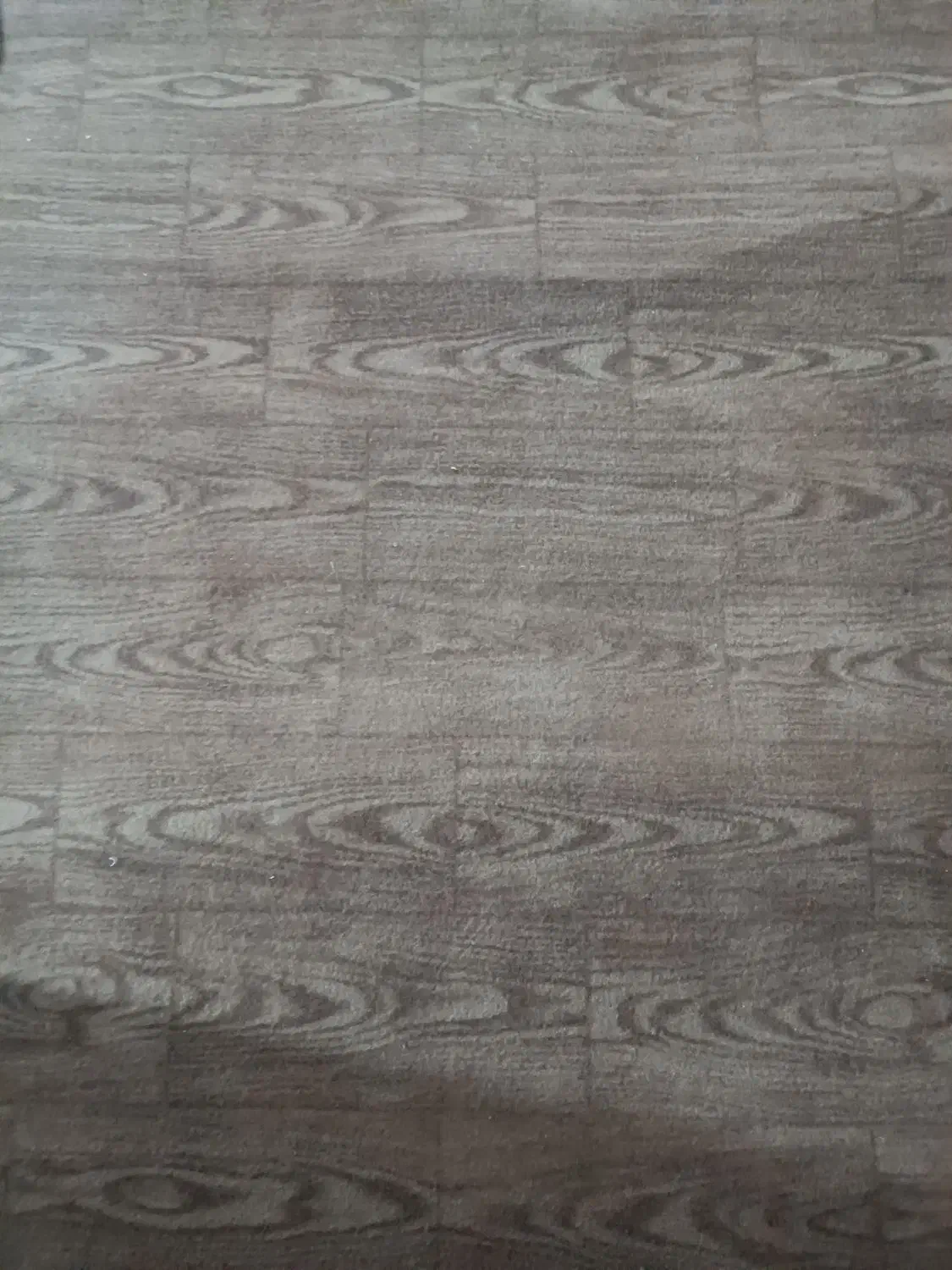 موکت|موکت|جهرم, |دیوار