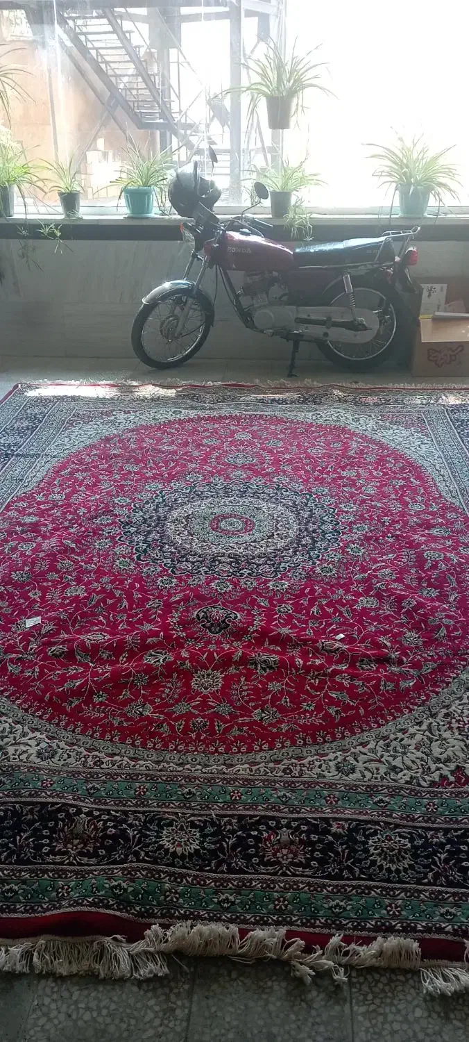 فرش ۱۲متری|فرش|اراک, |دیوار