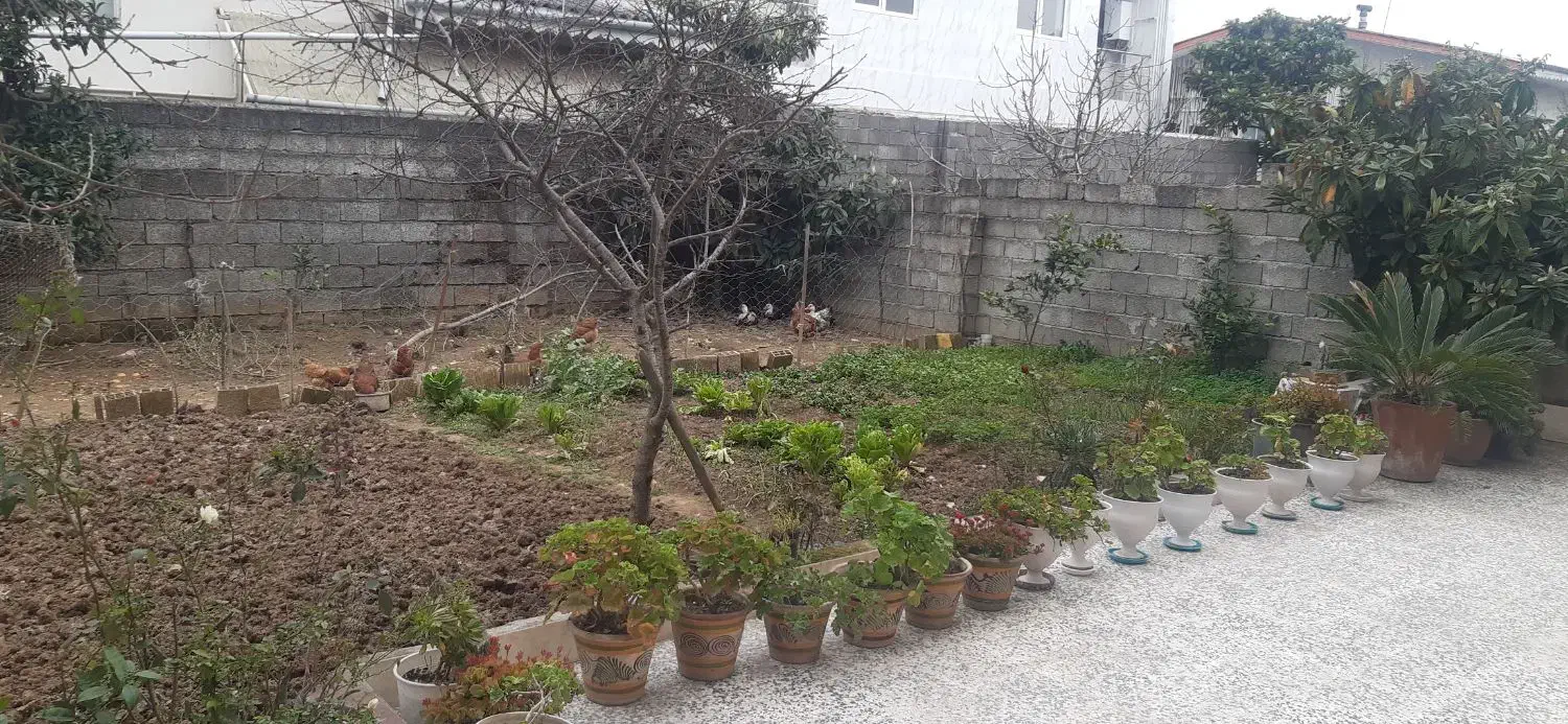 اجاره شبانه سوئیت|اجارهٔ کوتاه‌مدت ویلا و باغ|رودسر, |دیوار