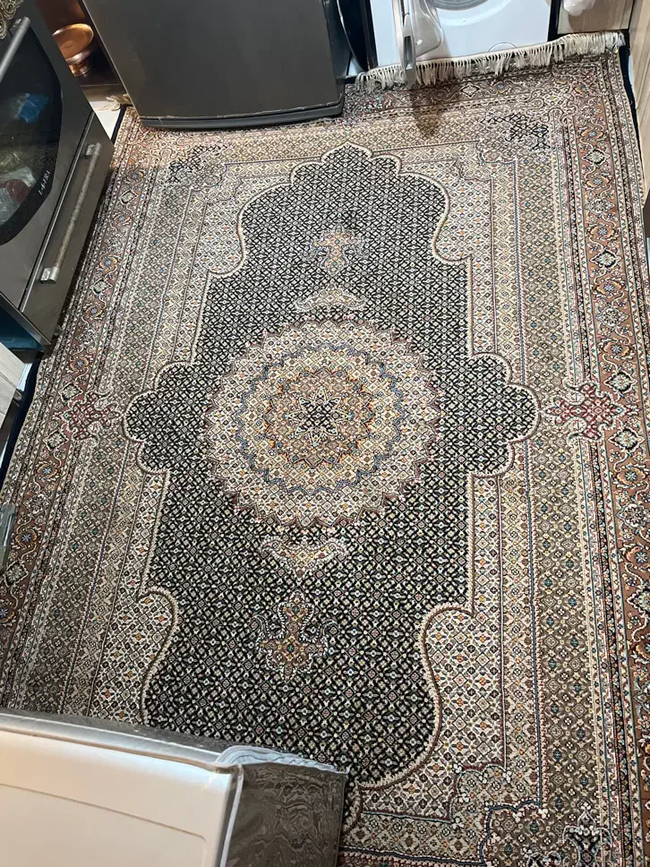 فرش ۶ متری طرح ماهی|فرش|قشم, |دیوار