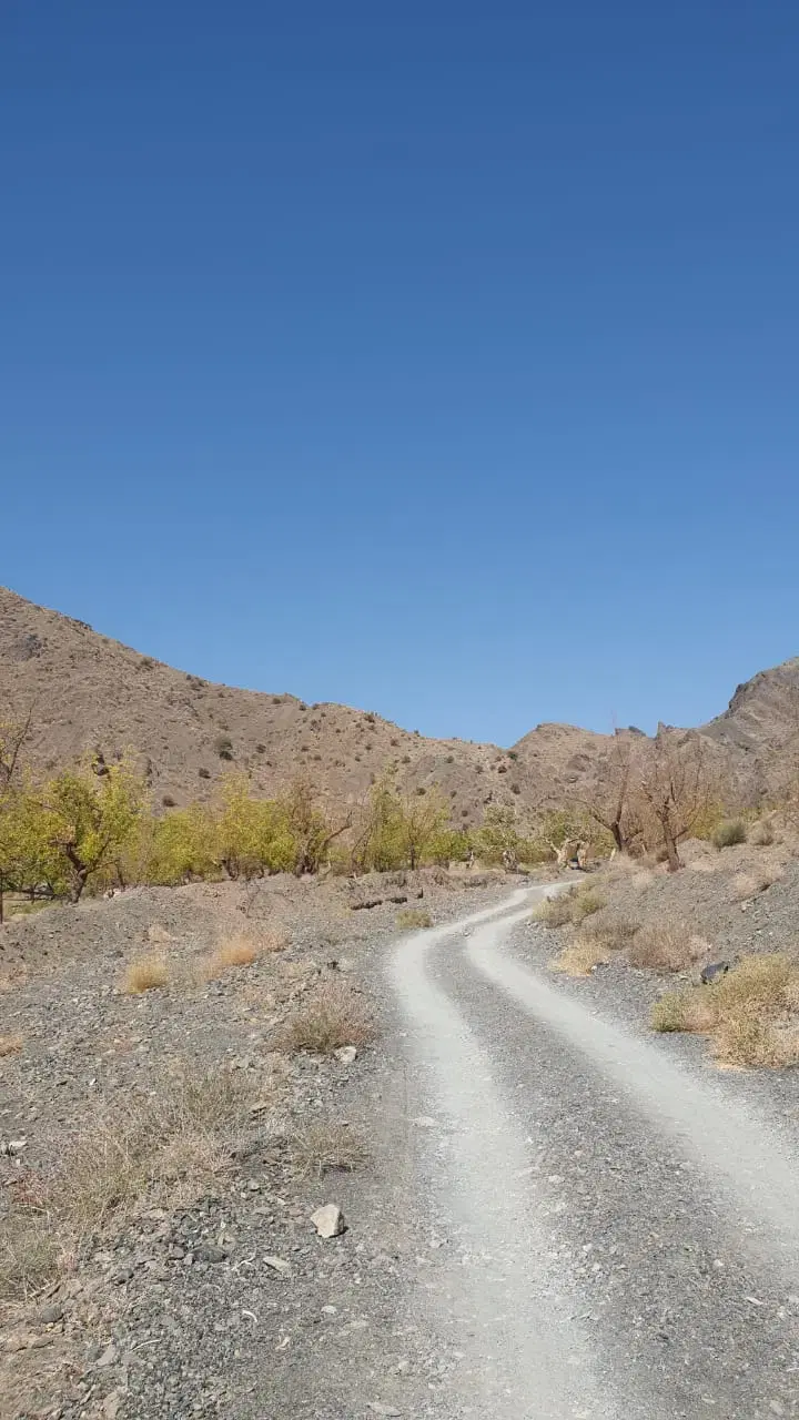 تصویر 11