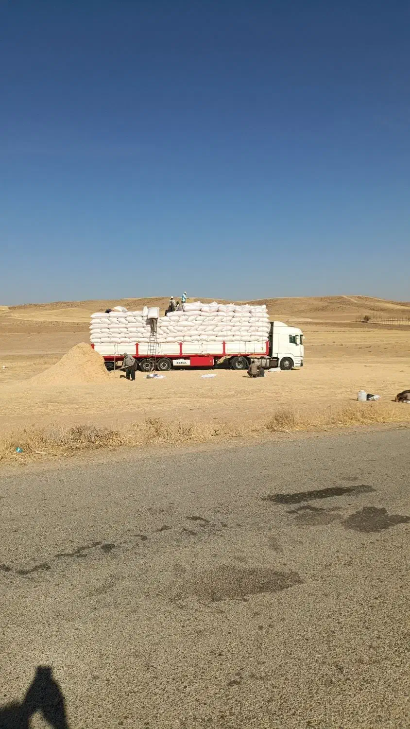 ماشین کاه|حیوانات مزرعه|سراوان, |دیوار