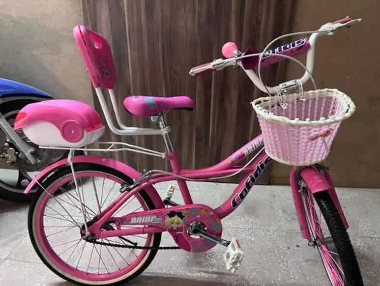 دوچرخه|دوچرخه، اسکیت، اسکوتر|بروجرد, |دیوار