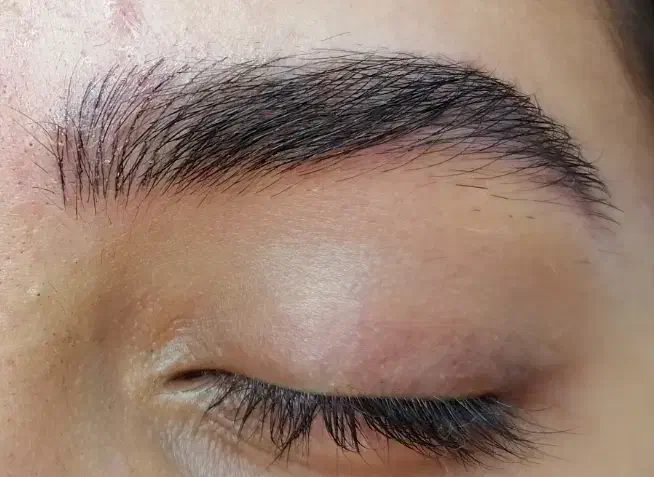 مدل میکروبلیدینگ ابرو سبک نانوبروز|خدمات آرایشگری و زیبایی|تربت‌حیدریه, فردوسی جنوبی|دیوار