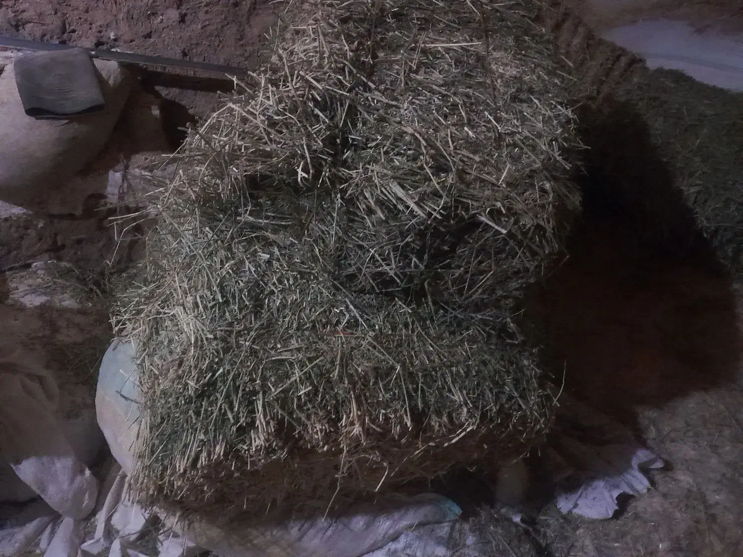 یونجه‌‌پرس|لوازم جانبی حیوانات|بزینه رود, |دیوار