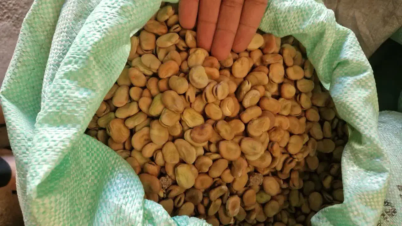 باقالی عمده|عمده‌فروشی|رشت, چله خانه|دیوار