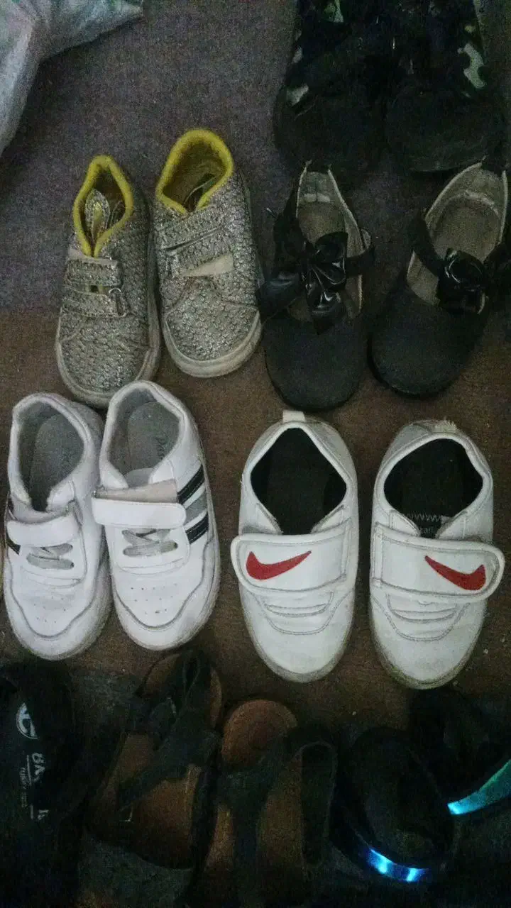 کفش و کیف|کیف، کفش، کمربند|ملایر, |دیوار