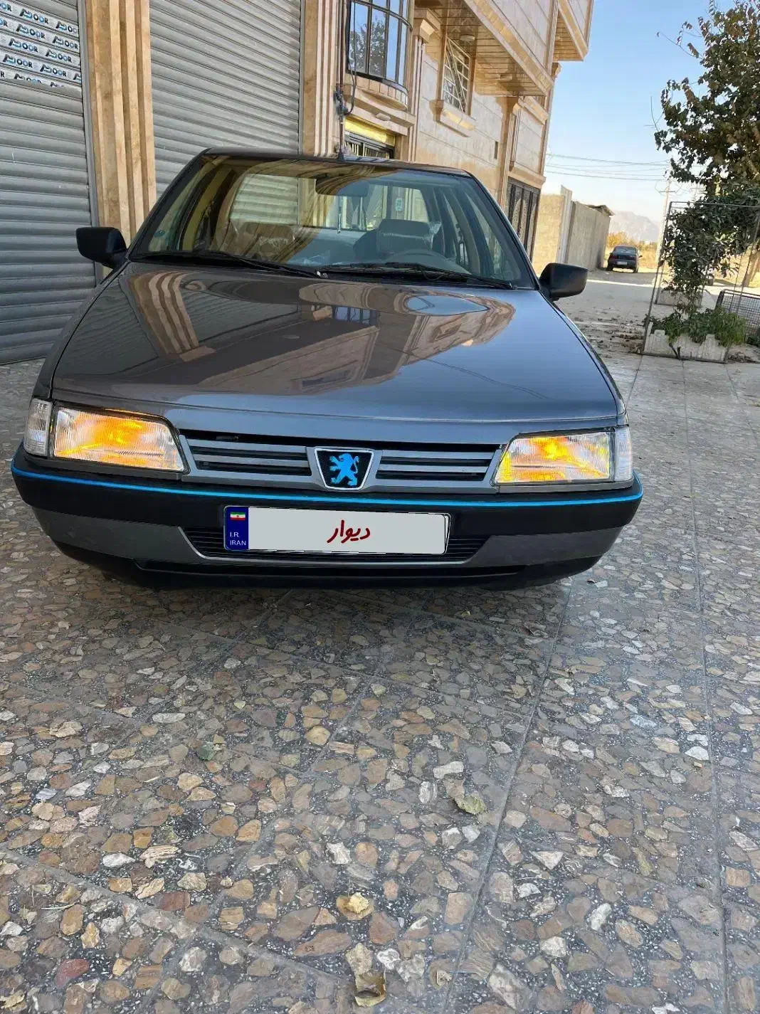 405 تمام فابریک|خودرو سواری و وانت|پاسارگاد, |دیوار