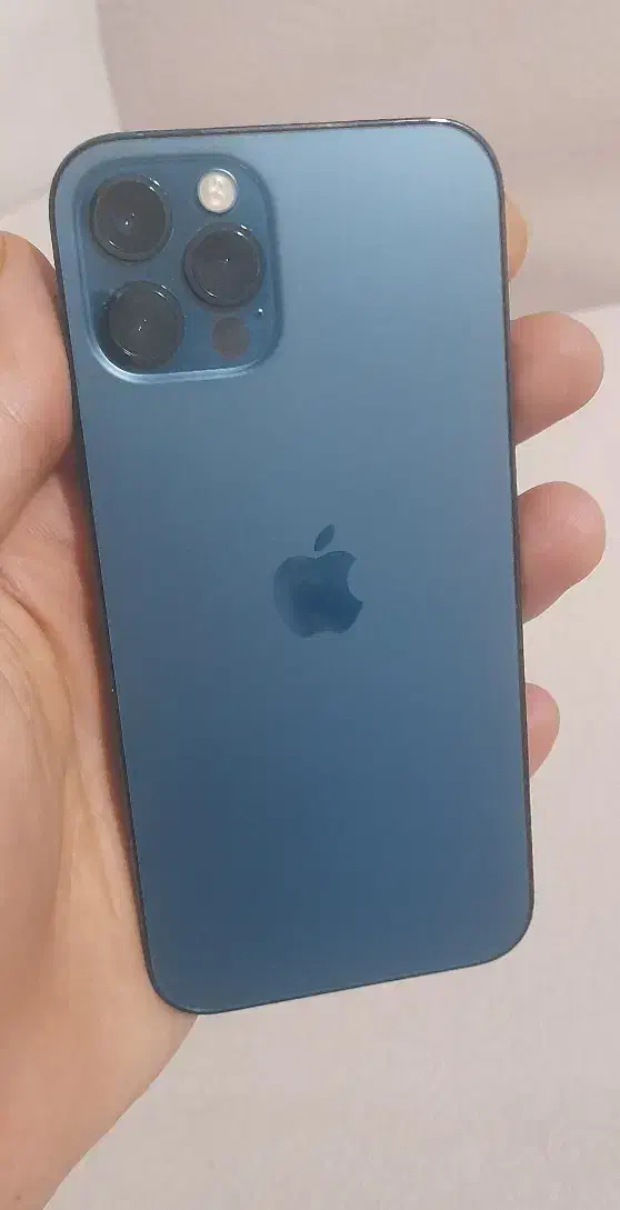 12pro 256|موبایل|مشهد, محمدآباد|دیوار