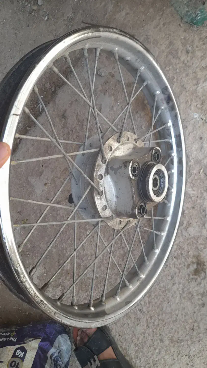 رنگی|پرنده|امیدیه, |دیوار