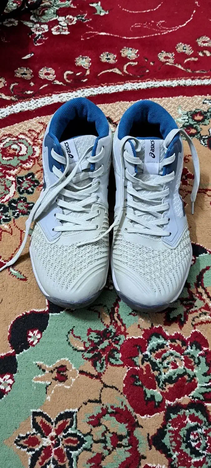 کفش ورزشی والیبال حرفه ای|تجهیزات ورزشی|دابودشت, |دیوار