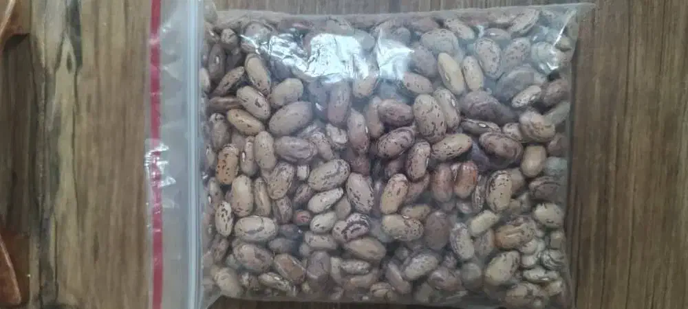 پخش حبوبات لوبیا نخود عدس لپه لوبیا چیتی|خوردنی و آشامیدنی|قم, گلزار|دیوار