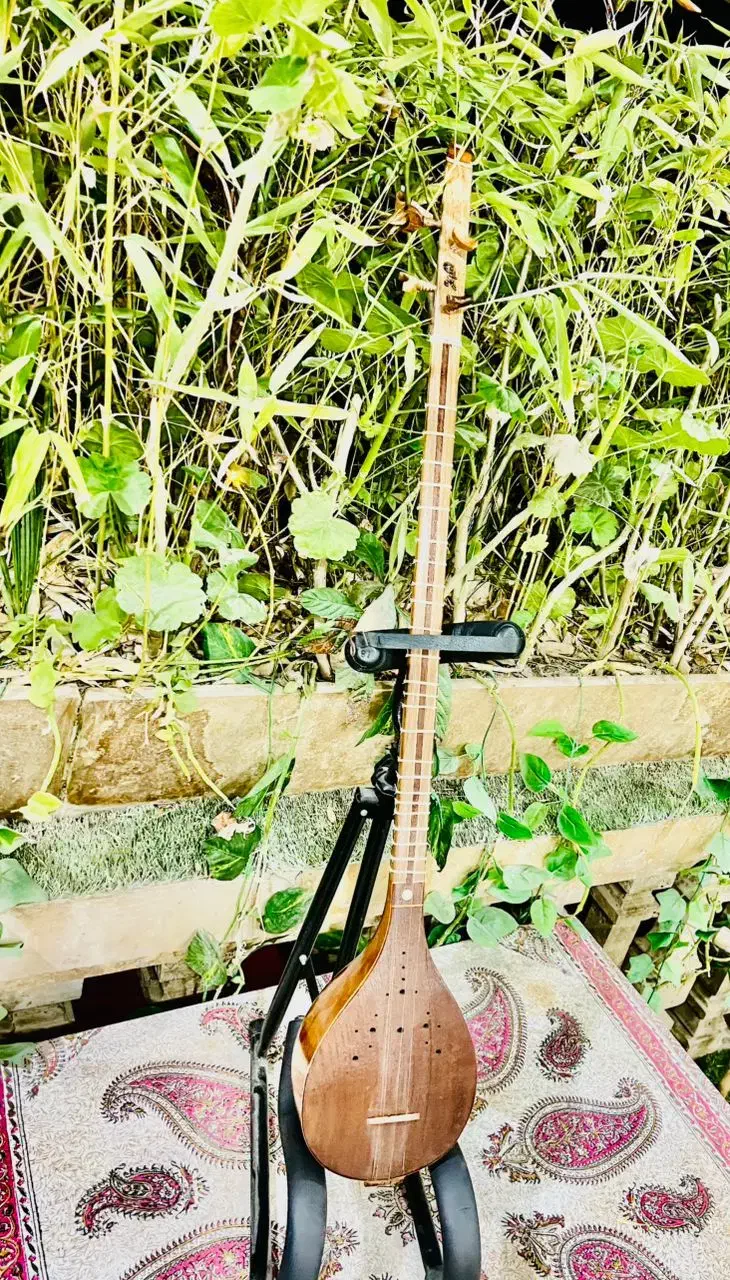 ساز ستار|سازهای سنتی|شیراز, دکتر حسابی|دیوار