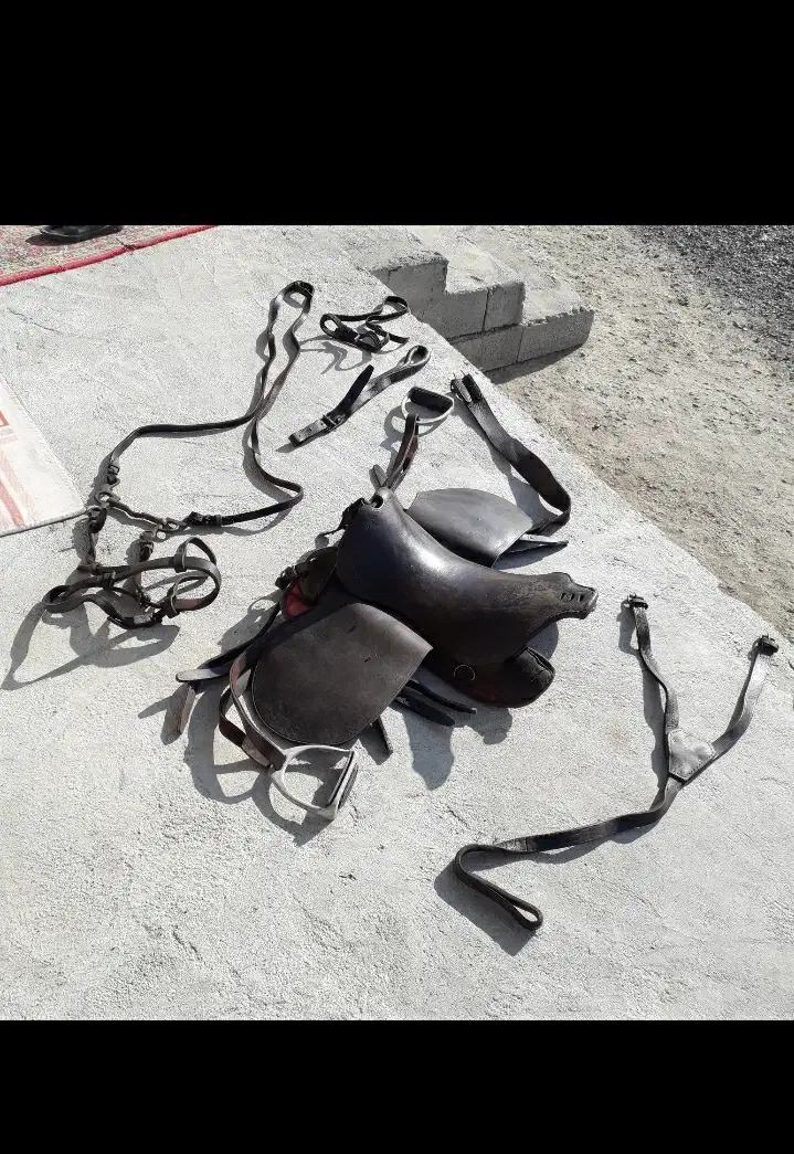 زین نو اصلا استفاده نشده با تمام وسایل|اسب و تجهیزات اسب‌سواری|قشلاق دشت, |دیوار