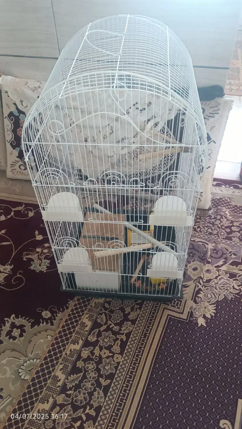 قفس پرنده|لوازم جانبی حیوانات|تربتحیدریه, شهرک ولیعصر|دیوار