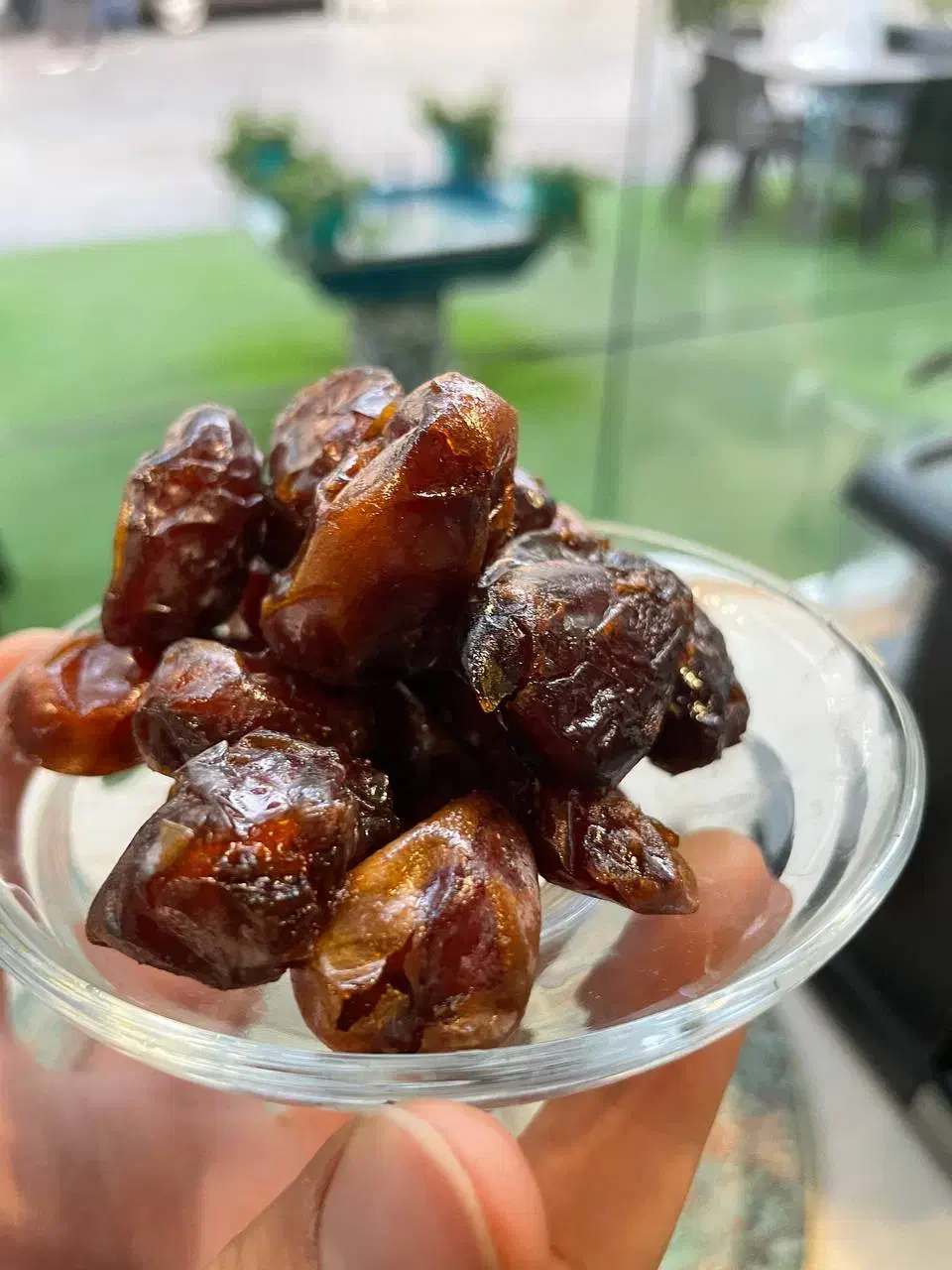 خرما کبکاب بوشهر|خوردنی و آشامیدنی|مشهد, شهید هاشمی نژاد|دیوار