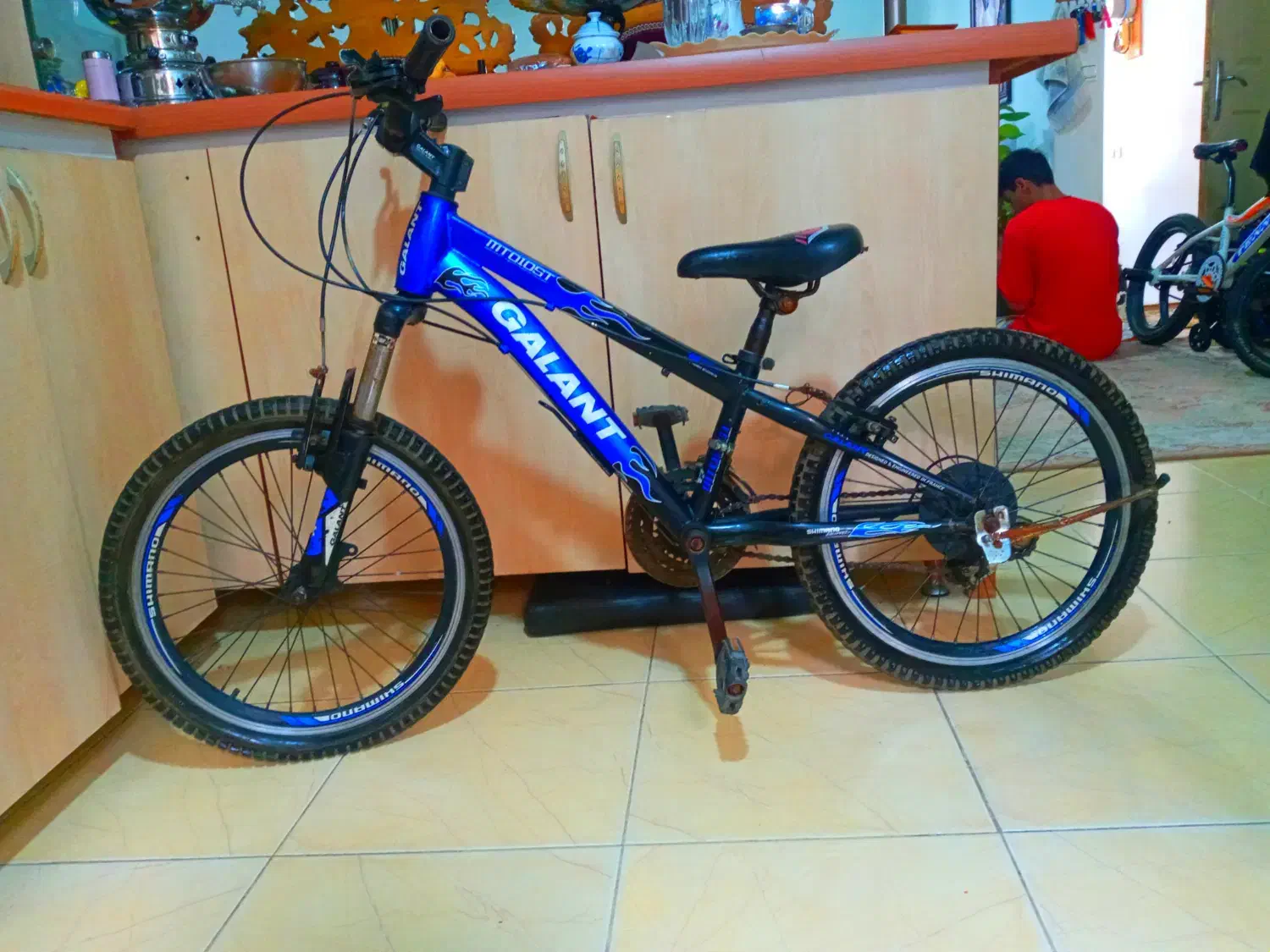 دوچرخه حرفه ای سایز ۲۰|دوچرخه، اسکیت، اسکوتر|رشت, دروازه لاکان|دیوار