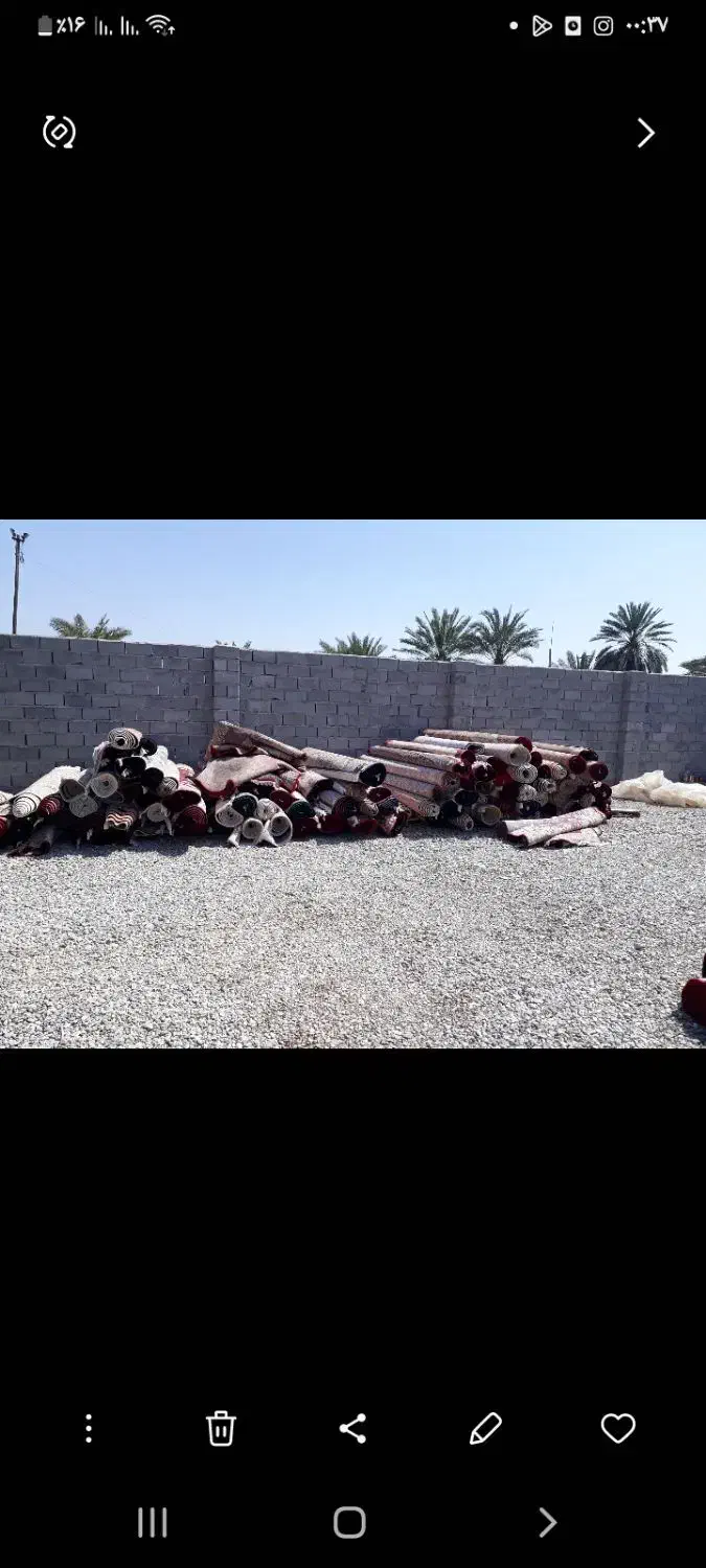 قالیشویی ومبلشویی مجاز نخل|خدمات نظافت|حاجی آباد, |دیوار