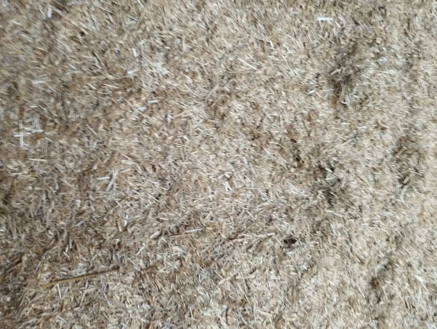 کاه دسته دروگر|لوازم جانبی حیوانات|مراوه, |دیوار