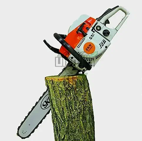 قطع درخت ،هرس، باغ ومنزل|خدمات باغبانی و درختکاری|اندیمشک, |دیوار