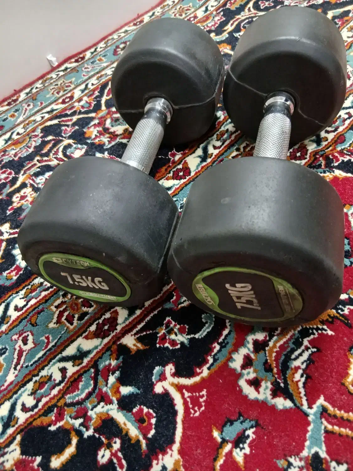 دمبل|تجهیزات ورزشی|کاشان, زیتون|دیوار