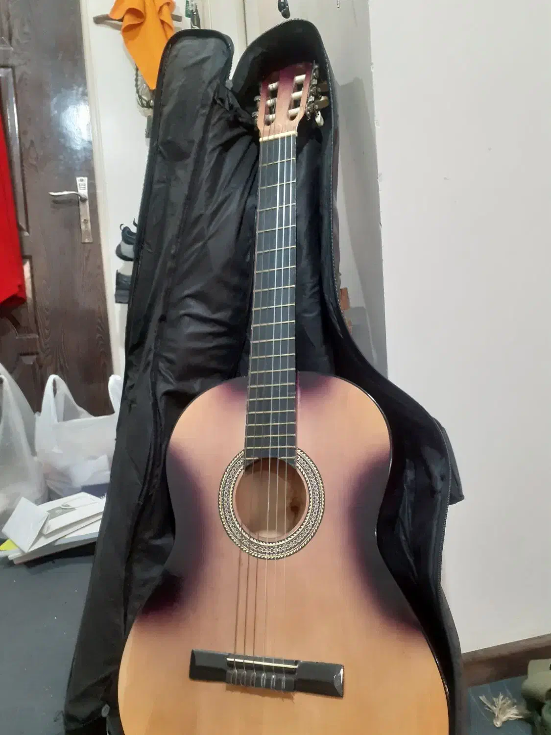 گیتار|گیتار، بیس، امپلیفایر|تهران, زاهد گیلانی|دیوار