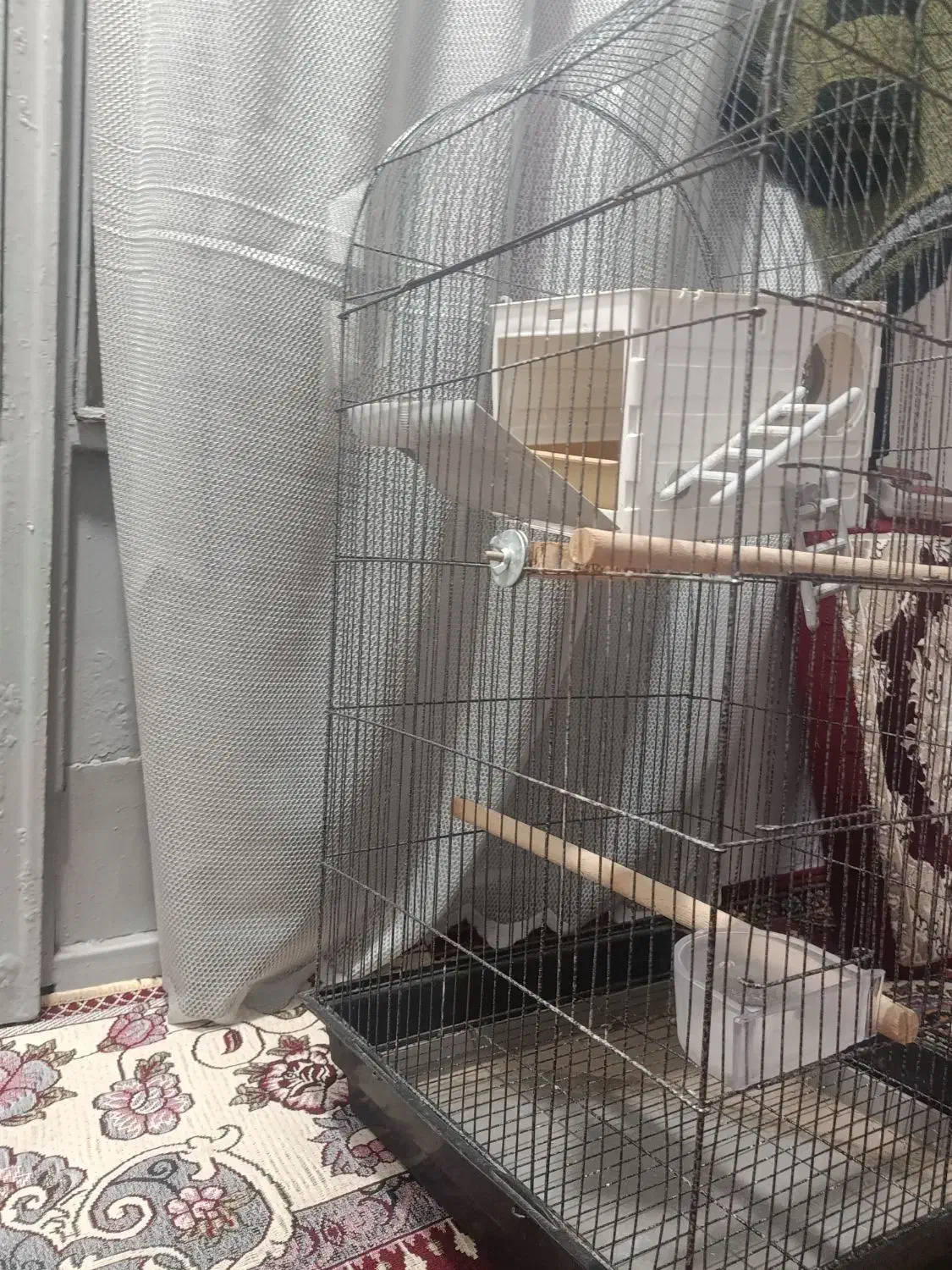 قفس بزرگ|لوازم جانبی حیوانات|رباط‌کریم, رباط‌کریم|دیوار