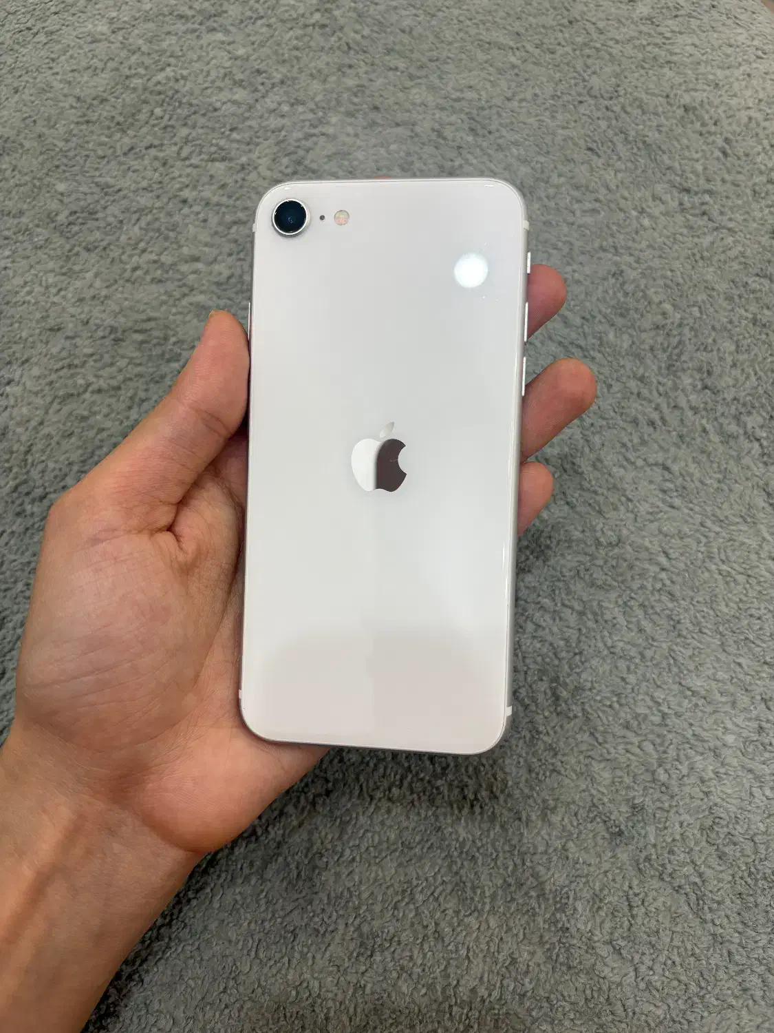 گوشی آیفونse2020|موبایل|فولادشهر, B4|دیوار