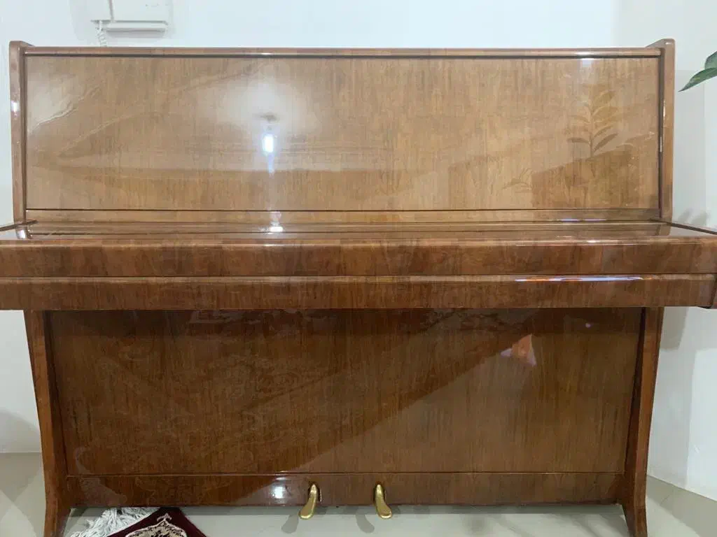 فروش پیانو|پیانو، کیبورد، آکاردئون|بندرعباس, |دیوار