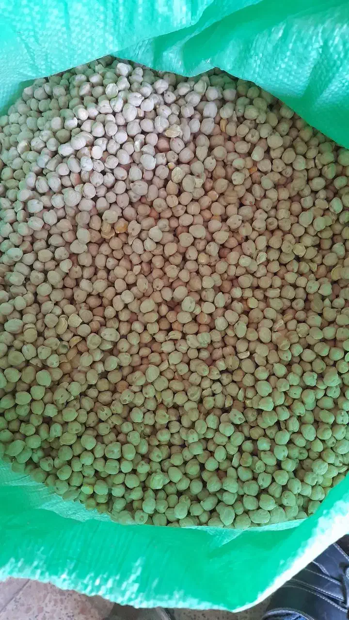 فروش نخود|عمده‌فروشی|باغ حلی, |دیوار