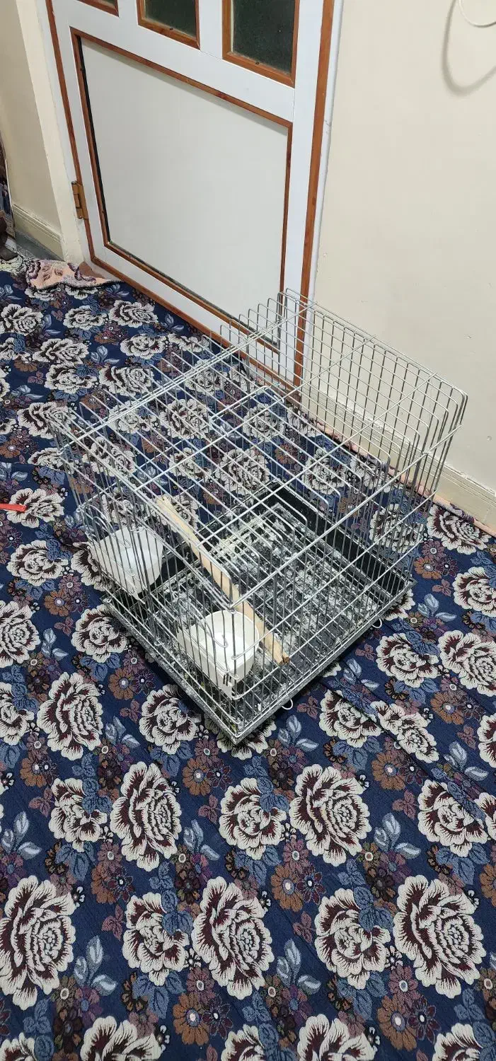 قفس ۱۰۳۲|لوازم جانبی حیوانات|تهران, حصارک|دیوار