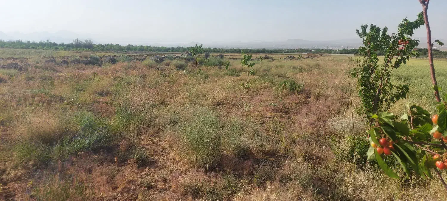 فروش ۲ هکتار زمین باغی و کشاورزی|فروش دفتر صنعتی، کشاورزی، تجاری|بروجن, |دیوار