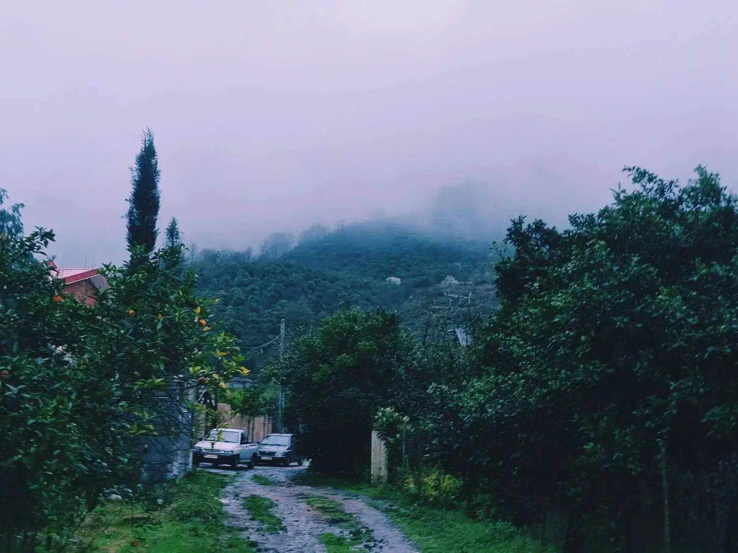 فروش فوری۲۰۶متر‌،انشعابات،ویو جنگل دریا،قلعه گردن|فروش زمین و ملک کلنگی|خرم‌آباد (تنکابن), |دیوار