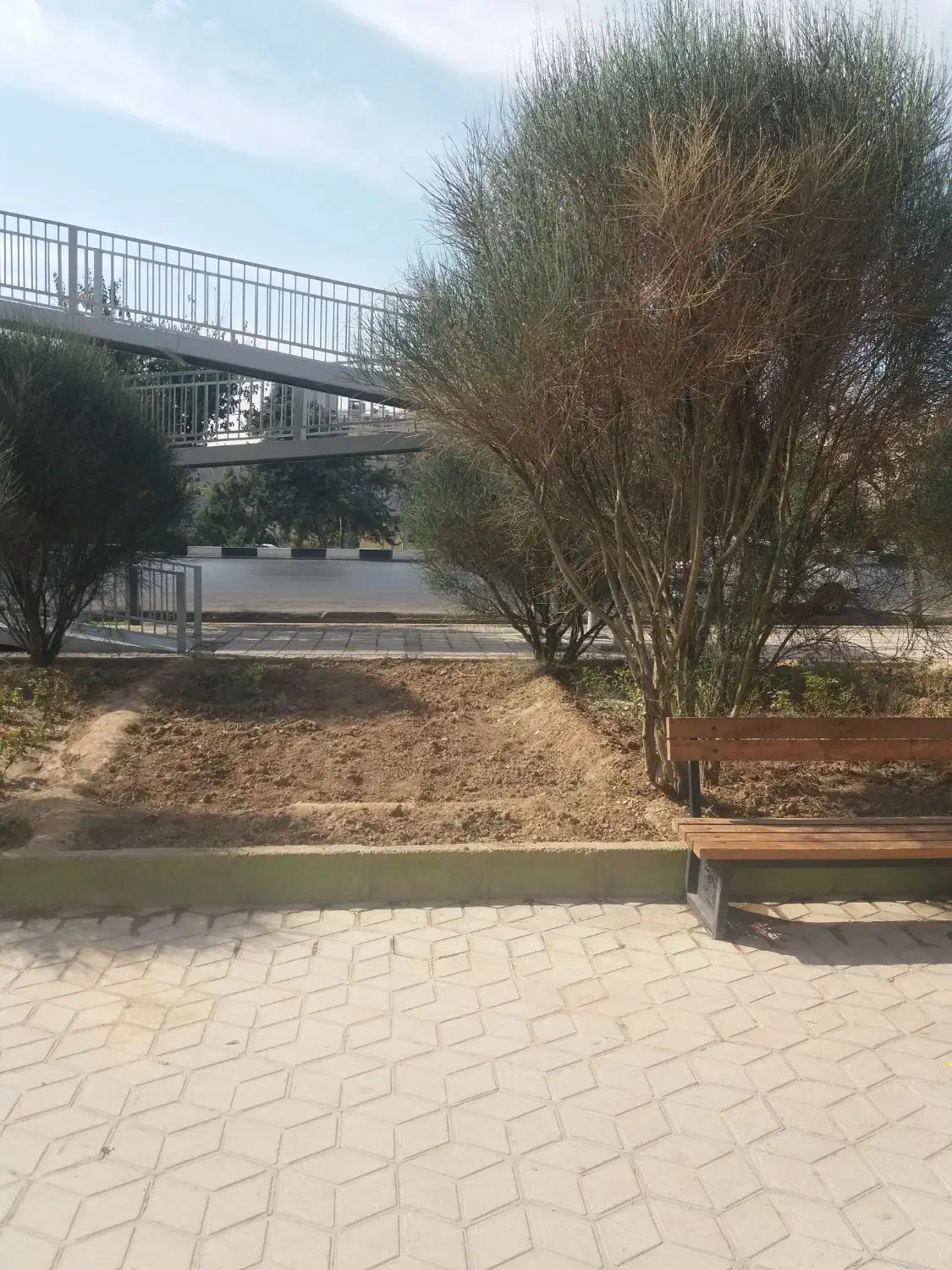 نظافت منزل آپارتمان ساعتی پا کنی باغ باغچه هرس|خدمات نظافت|شیراز, سعدیه شمالی|دیوار