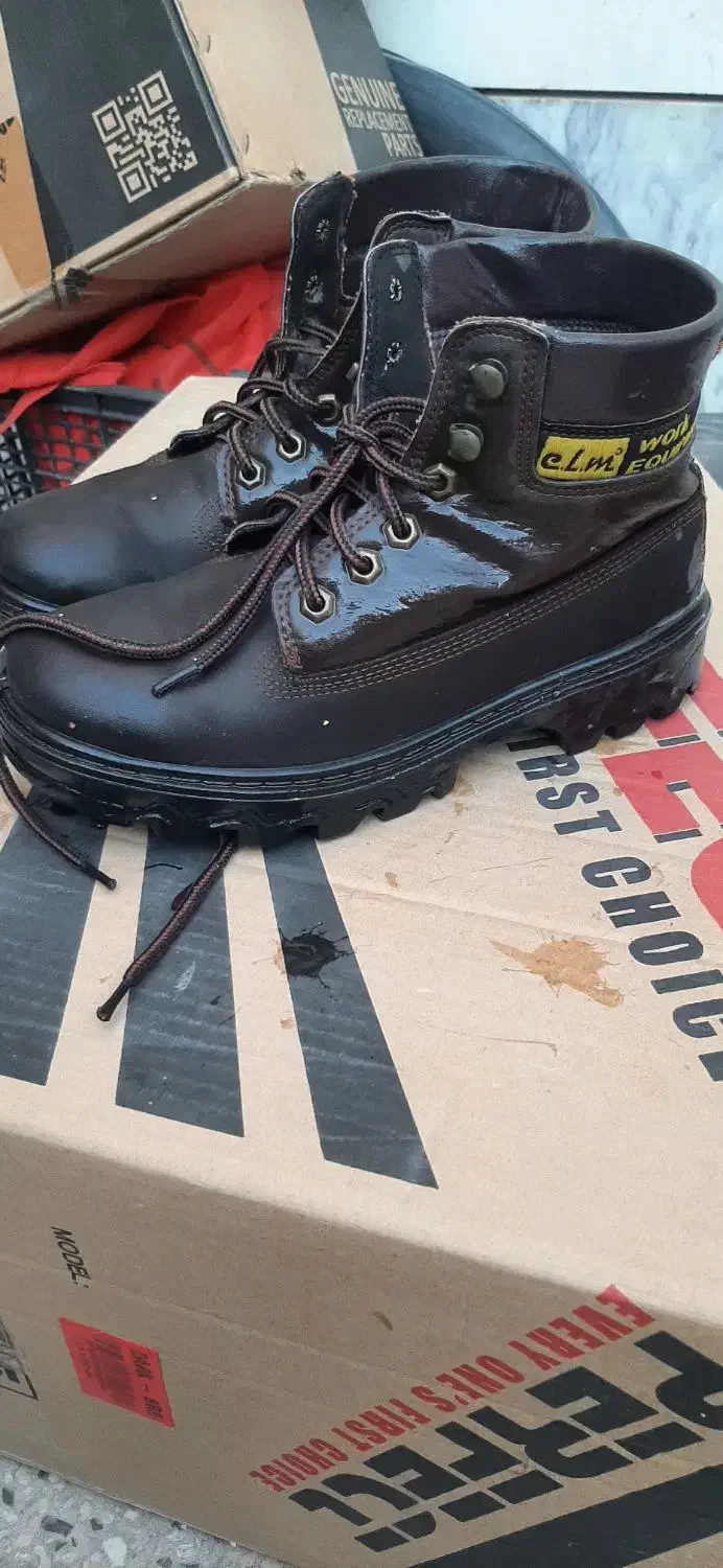 کفش|کیف، کفش، کمربند|لنجان, |دیوار