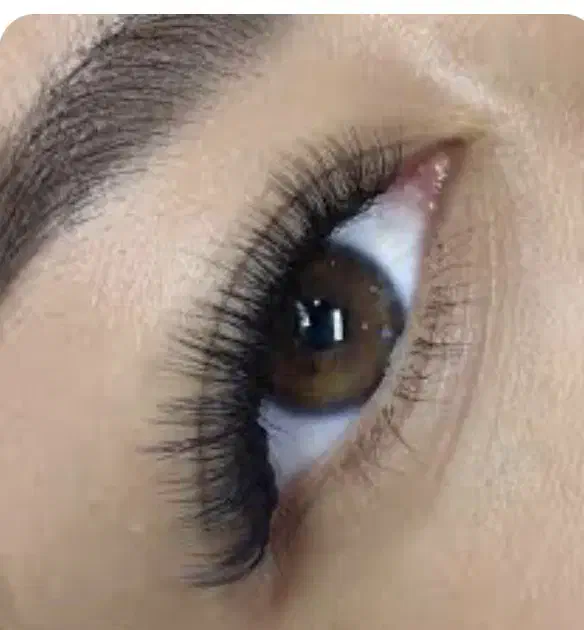 اکستنشن مژه توسط مربی|خدمات آرایشگری و زیبایی|اردبیل, |دیوار