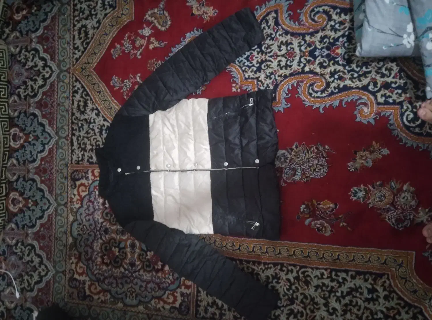 کاپشن سبز و سیاوش و کرمی|لباس|شیراز, گلشن|دیوار