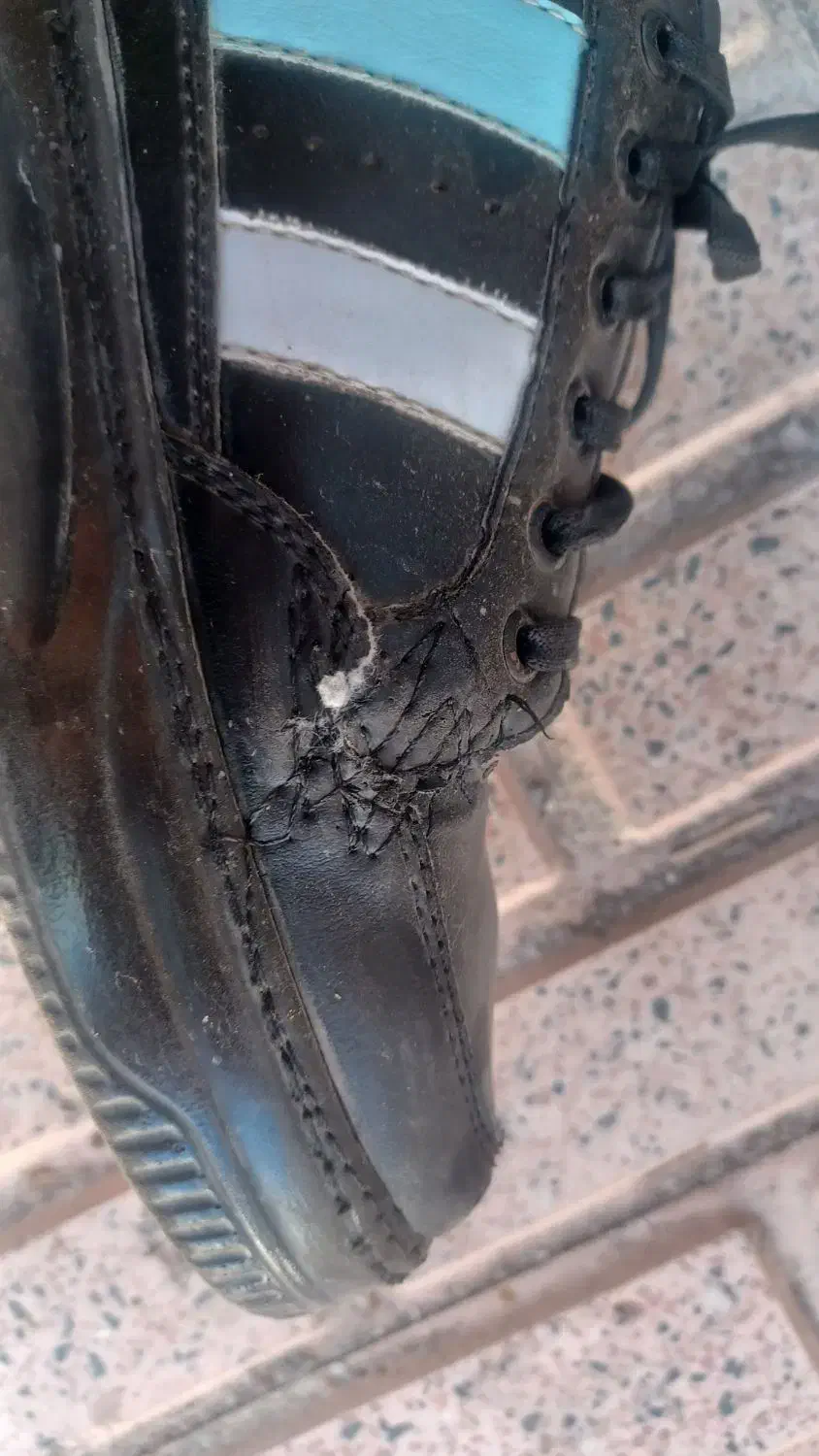 کفش|کیف، کفش، کمربند|مرند, |دیوار