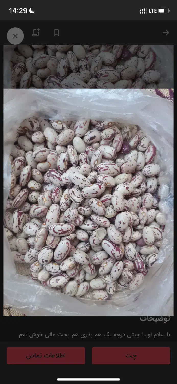 لوبیا چیتی ارتشی درجه ۱|خوردنی و آشامیدنی|رزن, |دیوار