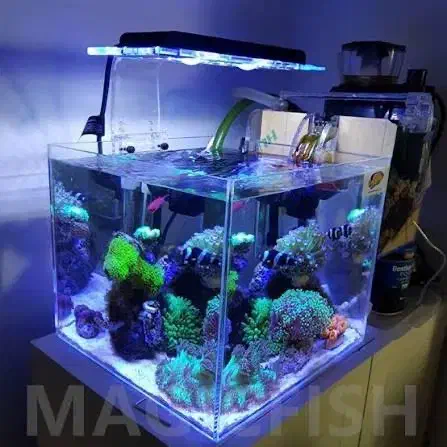 نور اکواریوم ابشور|ماهی|قم, زنبیل آباد|دیوار