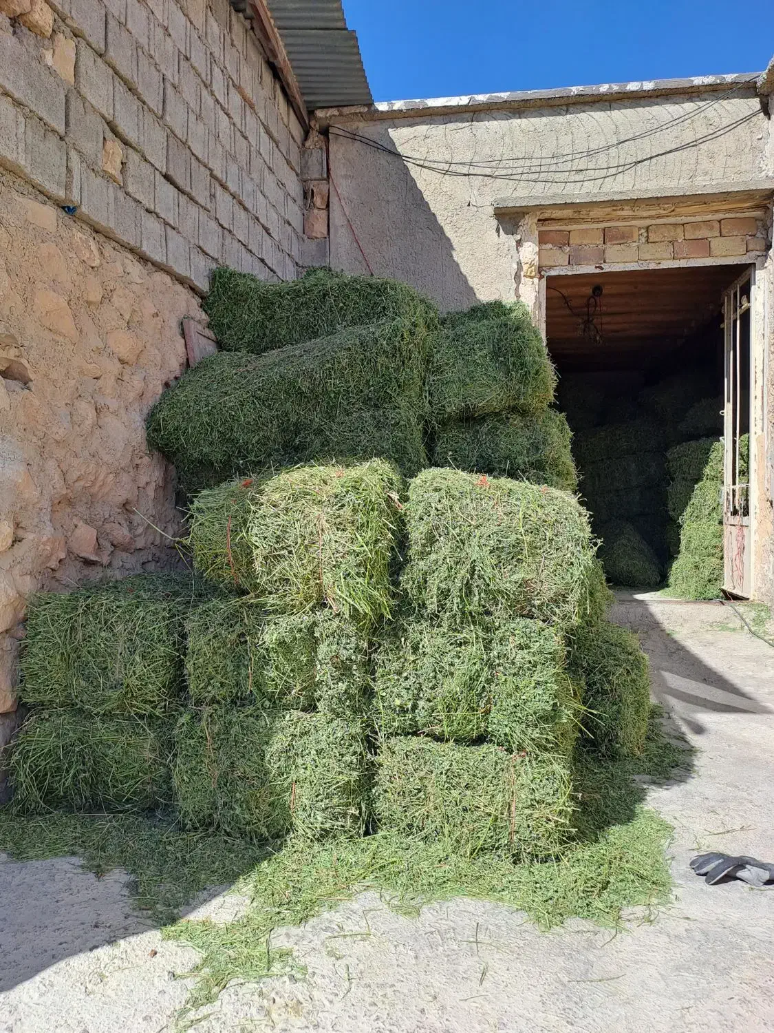 یونجه|حراج|کوزران, |دیوار